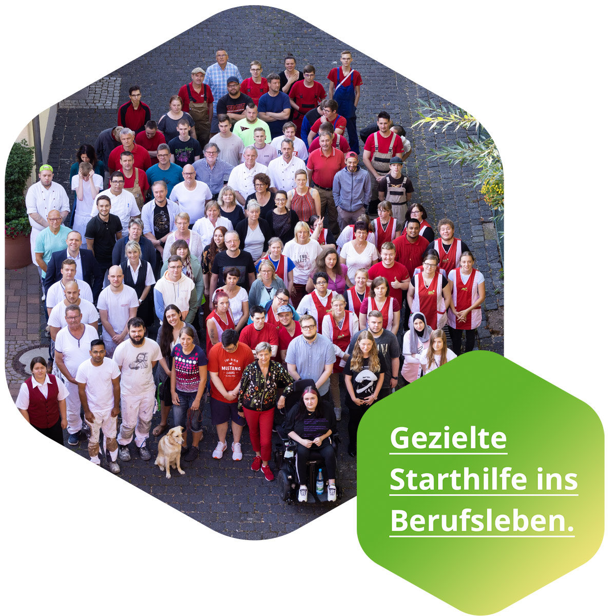 Gezielte Starthilfe ins Berufsleben.