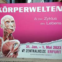 Vorschaubild zu 